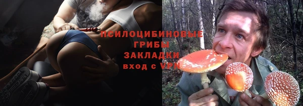 гидра Коряжма