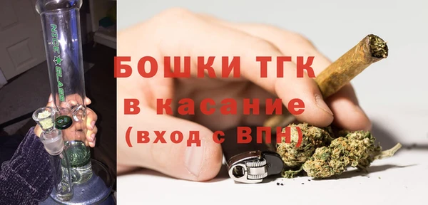 ГАЛЛЮЦИНОГЕННЫЕ ГРИБЫ Козловка