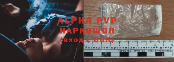 гидра Коряжма