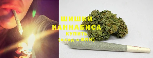 гидра Коряжма