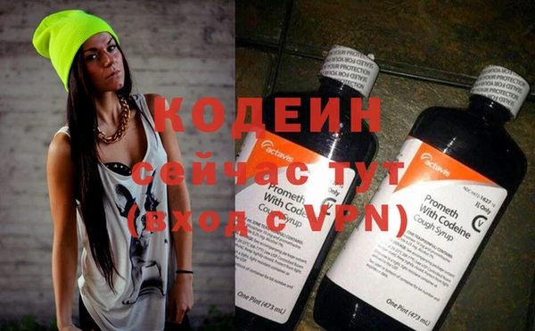 гидра Коряжма