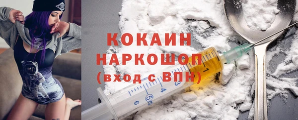 гидра Коряжма
