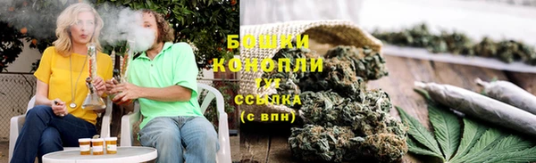 гидра Коряжма