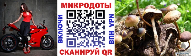 Псилоцибиновые грибы MAGIC MUSHROOMS  цена   Новороссийск 