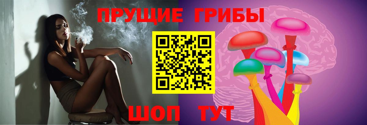 Псилоцибиновые грибы мухоморы Новороссийск