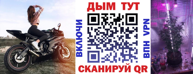 МАРИХУАНА семена  Новороссийск 